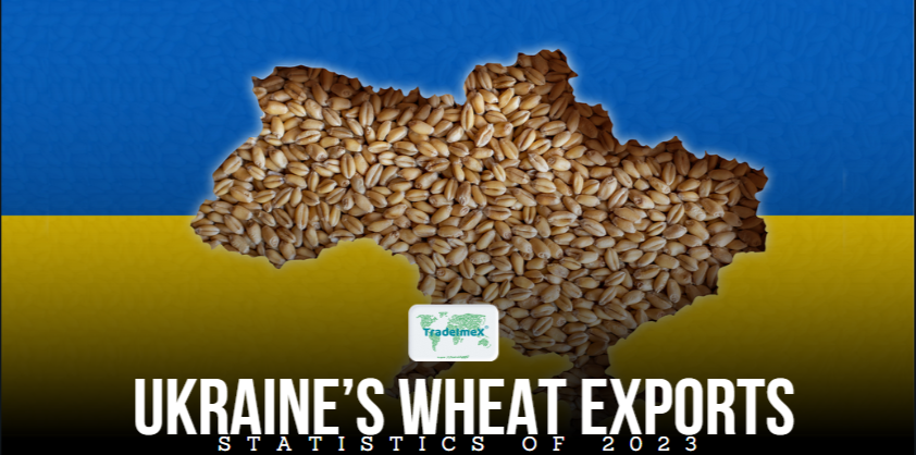 How much grain does Ukraine export to the US?